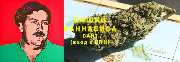 ГАЛЛЮЦИНОГЕННЫЕ ГРИБЫ Горнозаводск