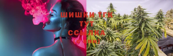 ГАЛЛЮЦИНОГЕННЫЕ ГРИБЫ Горнозаводск