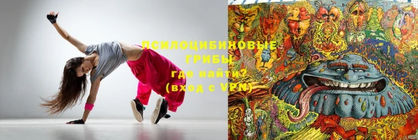ГАЛЛЮЦИНОГЕННЫЕ ГРИБЫ Горнозаводск