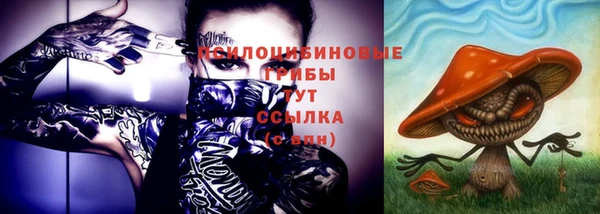 ГАЛЛЮЦИНОГЕННЫЕ ГРИБЫ Горнозаводск